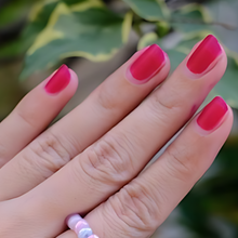 Pink Rose - Queen Colors